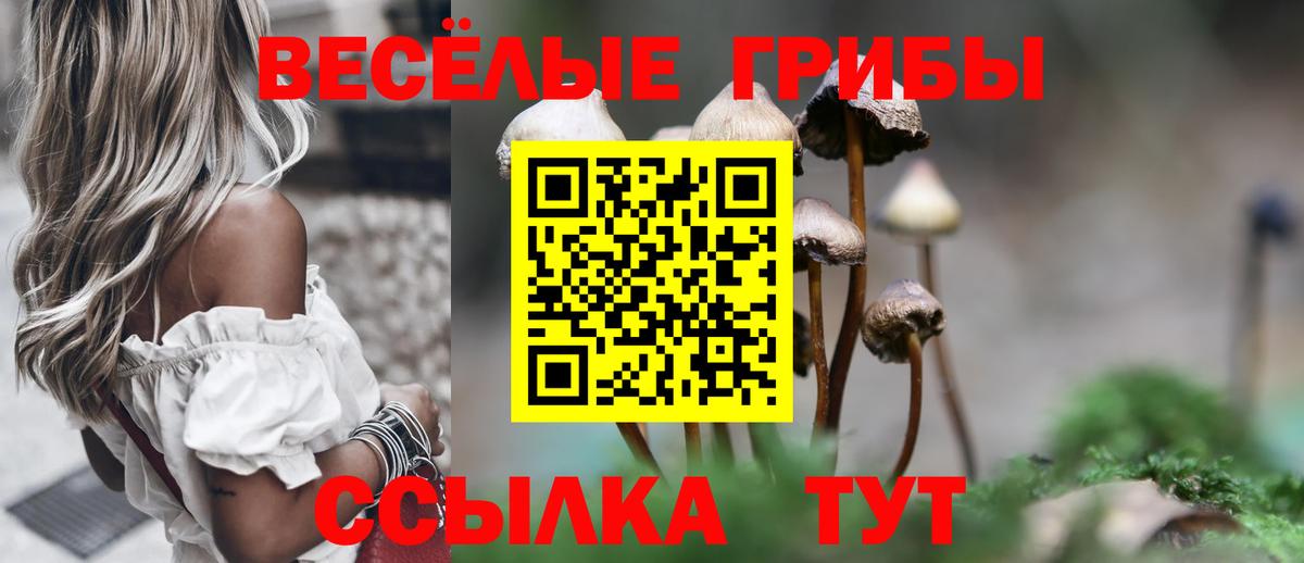 Псилоцибиновые грибы прущие грибы  где найти наркотики  Усинск  Вход с VPN 